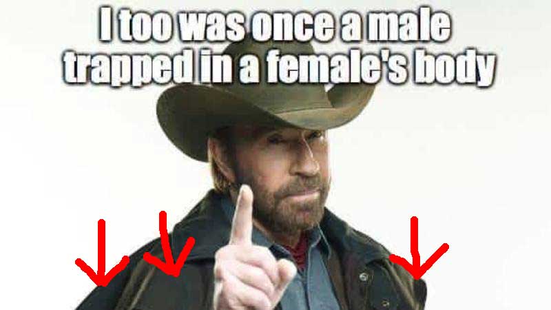 This Is The Best Politically Incorrect Meme Chuck Norris Is Awesome The Political Insider